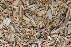biomass boilers Woodmancote